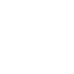 Honda-01 1